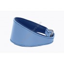  Ace Traditional Leather Dog Collar:  Multicolour 